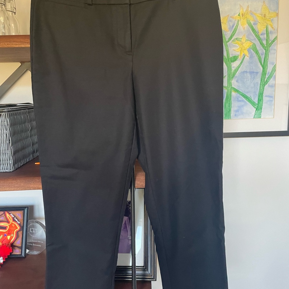 Loft Julie pant / size 8